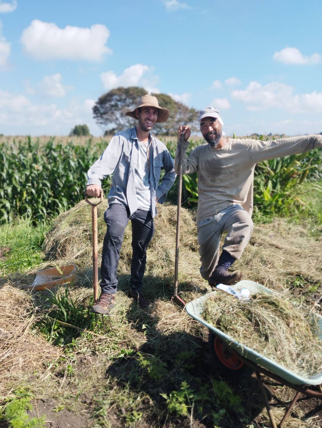 新町農園＆あーすかふぇ茶屋